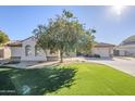 House with orange tree in front and grassy lawn at 3121 E Hackamore St, Mesa, AZ 85213