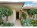 Inviting front entrance with well-maintained landscaping featuring mature trees and desert plants at 4800 N 68Th N St # 228, Scottsdale, AZ 85251