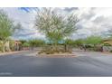 Welcoming gated entrance with desert landscaping and mature trees at 9248 E Desert Village Dr, Scottsdale, AZ 85255