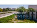 Modern community entrance sign for Tapestry at Destination at 6060 S Antonio --, Mesa, AZ 85212