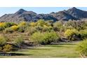 Beautiful mountain views from the backyard of this property, with mature trees and grass at 6616 W Side Canyon Trl, Phoenix, AZ 85083