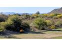Beautiful mountain views from the backyard of this property, with mature trees and grass at 6616 W Side Canyon Trl, Phoenix, AZ 85083