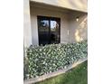 Private patio space with lush greenery along perimeter offering pleasant outdoor retreat at 1920 W Lindner W Ave # 108, Mesa, AZ 85202