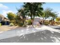 Single-story home with landscaped front yard and attached garage at 8227 E Sierra Pinta Dr, Scottsdale, AZ 85255