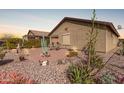 Serene backyard featuring a stone patio, desert landscaping, mature plants, and privacy at 514 S 224Th Dr, Buckeye, AZ 85326