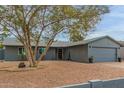 Ranch-style home with tree and gravel driveway at 4007 N 87Th St, Scottsdale, AZ 85251