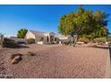 Landscaped front yard with gravel and mature trees at 23204 N Paseo Laredo Ln, Peoria, AZ 85383