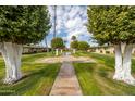 Pathway through a courtyard with lush green lawns and trees at 13227 N 110Th Ave, Sun City, AZ 85351