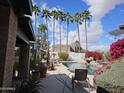 Beautiful backyard pool area with lounge chairs, desert landscaping, and a serene atmosphere at 15240 N 51St St, Scottsdale, AZ 85254