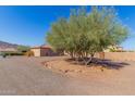 Landscaped front yard with gravel and mature trees at 44429 N 1St Dr, New River, AZ 85087