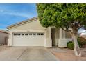 House exterior featuring a white garage door and mature tree at 9862 E Flower Ave, Mesa, AZ 85208