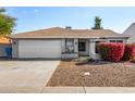 Single-story home with attached garage and red flowers at 18825 N 34Th St, Phoenix, AZ 85050