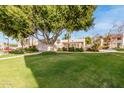 Landscaped lawn area with mature trees and a building at 8270 N Hayden Rd # 1023, Scottsdale, AZ 85258