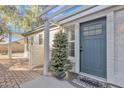 House entrance with a blue door, brick walkway, and a small Christmas tree at 3955 W Cindy St, Chandler, AZ 85226