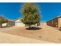 Single-story home with desert landscaping and a mature shade tree in the front yard at 7420 W Glass Ln, Laveen, AZ 85339