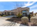 One-story house with brown garage door and landscaped yard at 8297 W Rushmore Way, Florence, AZ 85132
