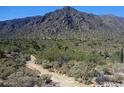 View of mountains and desert landscape with cacti and dirt road at 20233 W San Miguel Ave, Litchfield Park, AZ 85340