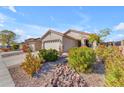 House exterior with landscaping and a rock pathway at 22992 W Lasso Ln, Buckeye, AZ 85326