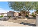 Tan house with a large tree in the front yard and gravel landscaping at 20533 N Sequoia Crest Dr, Surprise, AZ 85387