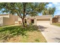 Charming single-story home featuring a desert landscaped front yard with mature trees at 10546 E Topaz Cir, Scottsdale, AZ 85258