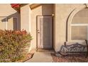 Beige front door with a decorative metal screen and sidelights at 4872 E Sandwick Dr, San Tan Valley, AZ 85140