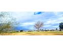 Aerial view showcasing the community's landscape and proximity to a golf course at 11008 W Cherry Hills W Dr, Sun City, AZ 85351