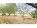 Landscaped backyard with gravel and mature trees, offering a view of a golf course at 11008 W Cherry Hills W Dr, Sun City, AZ 85351