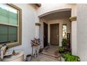 Inviting entryway with potted plants and decorative accents at 2963 E Birdsong Ave, San Tan Valley, AZ 85143