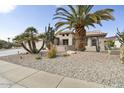 Front yard with mature palm trees and gravel landscaping at 16036 W Sandia Park Dr, Surprise, AZ 85374