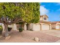 Two-story house with a three-car garage and mature tree in front at 3664 E Juanita Ave, Gilbert, AZ 85234