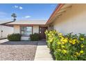 House exterior with walkway and yellow flowers at 8814 N 50Th Ave, Glendale, AZ 85302