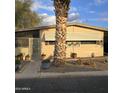 Tan single-wide manufactured home with mature palm tree in front at 11411 N 91St Ave # 80, Peoria, AZ 85345