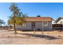 Gray house with chain link fence and a tree in the front yard at 21701 W Griffin Ave, Wittmann, AZ 85361