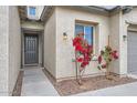 Front entry with gray door and vibrant red flowers at 2796 E Inca Ln, San Tan Valley, AZ 85140