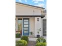 Stylish front door entrance featuring a blue door and landscaping at 3891 W Talc Dr, San Tan Valley, AZ 85144