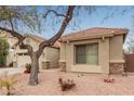 Tan house with a two-car garage and a large tree at 4170 E Winged Foot Pl, Chandler, AZ 85249