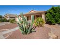 Front view of the house with cacti and desert plants at 42276 W Chisholm Dr, Maricopa, AZ 85138