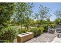 Landscaped backyard with patio furniture and fire pit at 813 E Verde Blvd, Queen Creek, AZ 85140