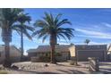 Single-story home boasts a desert landscape and a prominent palm tree at 9611 E Foster Ave, Sun Lakes, AZ 85248