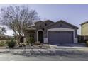 Gray house with attached garage and landscaping in front at 1229 E Prickly Pear St, Casa Grande, AZ 85122