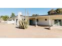 Backyard view showcasing a covered patio and large cactus at 6212 S 37Th St, Phoenix, AZ 85042