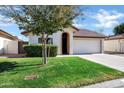 Inviting single-story home with well-maintained lawn, mature tree, and a two-car garage at 12087 S Paiute St, Phoenix, AZ 85044