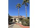 View of the front of the house with mature palm trees and landscaping at 14226 W Via Montoya --, Sun City West, AZ 85375