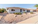 Front yard with desert landscaping and white brick house at 13223 W Gaucho Dr, Sun City West, AZ 85375