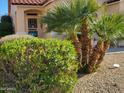 Landscaped front yard with shrubs and palm trees at 17449 N Fairway Dr, Surprise, AZ 85374