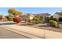 Landscaped front yard with colorful flowers and gravel at 19751 N Desert Song Way, Surprise, AZ 85374