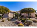 Landscaped front yard with desert plants and rock at 26841 W Ross Ave, Buckeye, AZ 85396