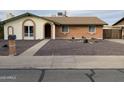 Brick ranch style home with small front yard and walkway at 3506 W Yucca St, Phoenix, AZ 85029