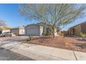 House exterior showcasing a front yard with mature trees at 23625 N El Frio Ct, Sun City, AZ 85373