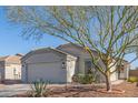 Single-story home with a garage and mature tree in front at 23625 N El Frio Ct, Sun City, AZ 85373